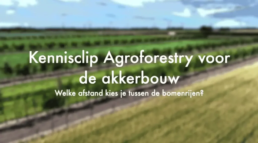 kennisclip afstand bomenrijen
