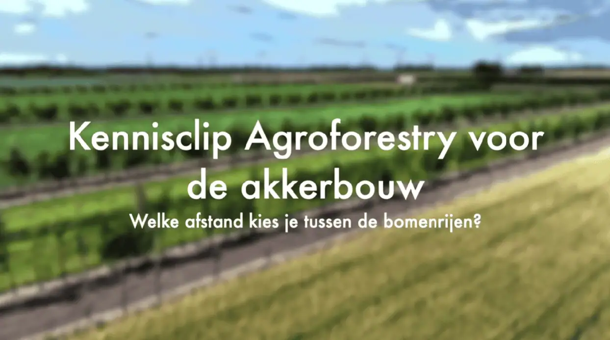 kennisclip afstand bomenrijen