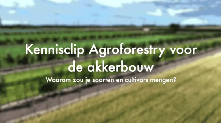 kennisclip mengen soorten en rassen