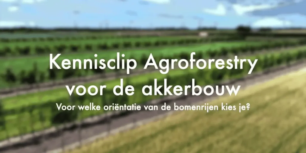 kennisclip orientatie bomenrijen