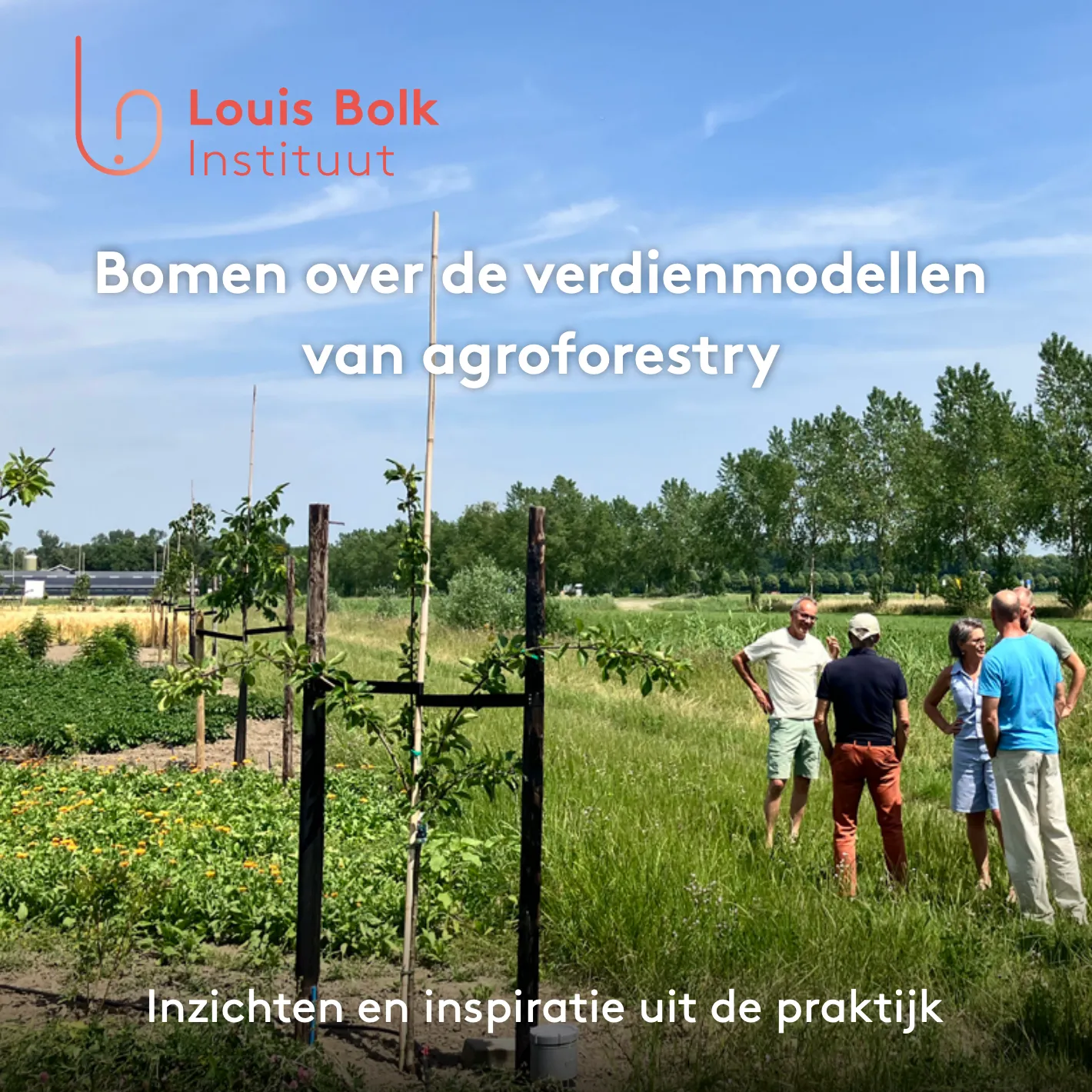 Bomen over de verdienmodellen van agroforestry