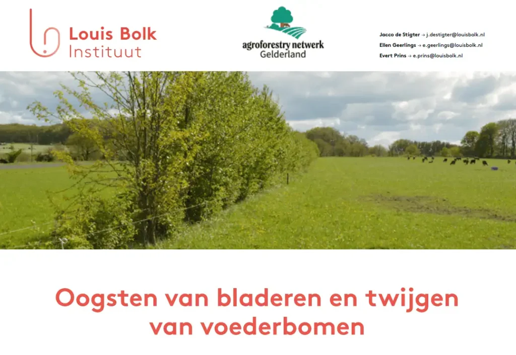 oogsten van bladeren en twijgen van voederbomen