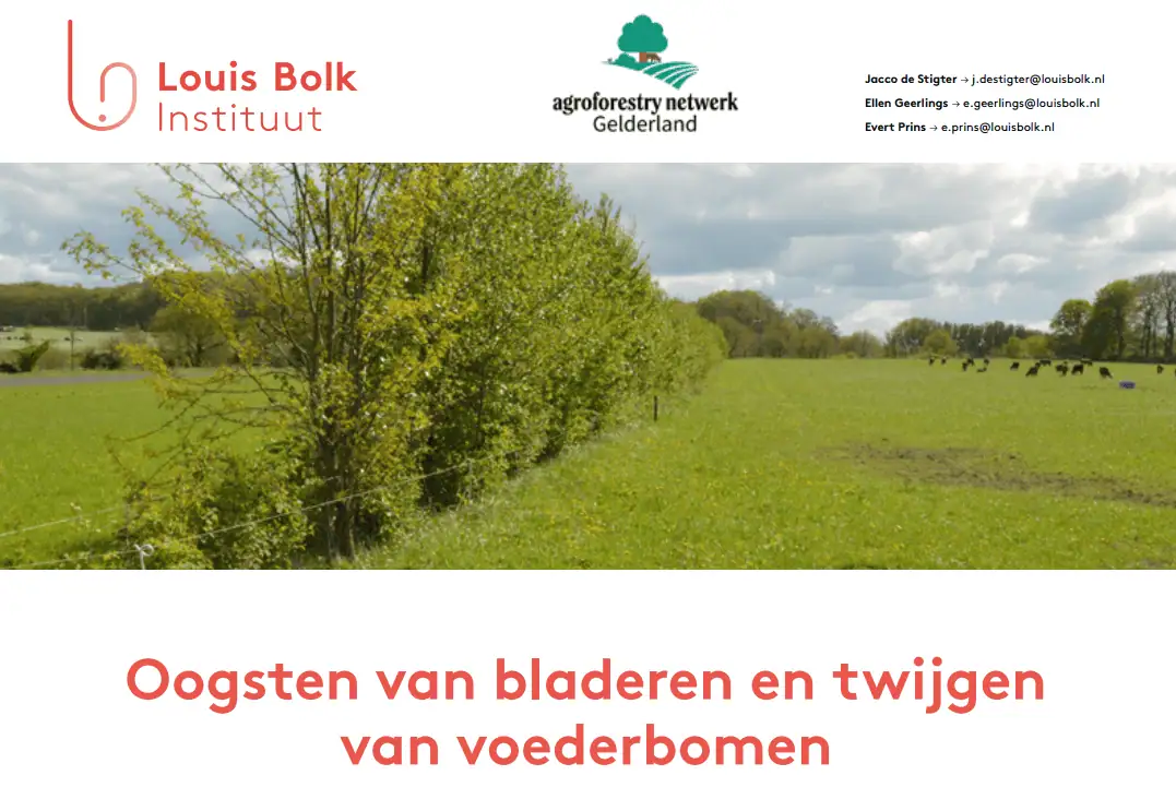 oogsten van bladeren en twijgen van voederbomen